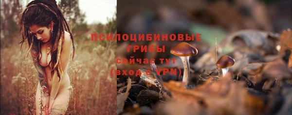синтетический гашиш Армянск