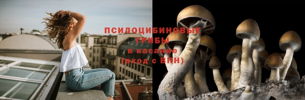 соль ск Аркадак