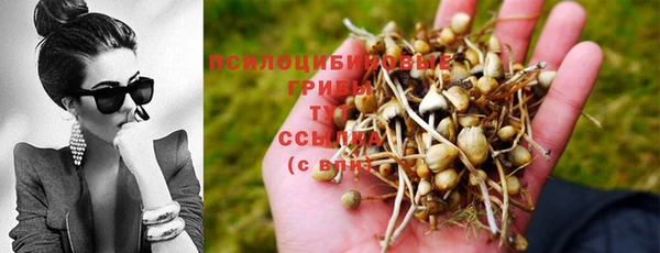 синтетический гашиш Армянск