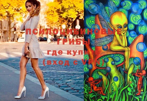 мдпв Арсеньев